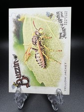 2024 Topps Allen & Ginter - Buzzin Yellow Jacket #BUZ-13