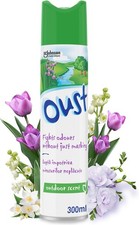Oust Odour Eliminator Aerosol Air Freshener Outdoor Scent 300ml