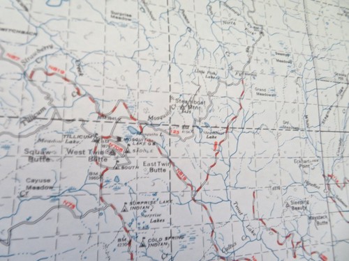 Vintage Gifford Pinchot National Forest MAP Mt Adams-Willard Ranger District - Picture 10 of 19