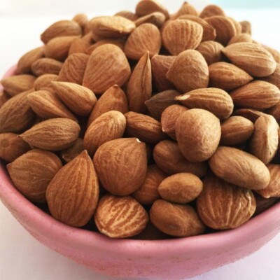500g Bitter almonds - Kernels - VERY BITTER - Organic Xing Ren