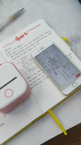 Phomemo T02 Mini Wireless Bluetooth Thermal Photo Printer Inkless Label Maker Phomemo T02 Mini Wireless Bluetooth Thermal Photo Printer Inkless Label Maker