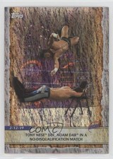 2020 Topps WWE Road to Wrestlemania Rainbow Foil Tony Nese #9 05ov