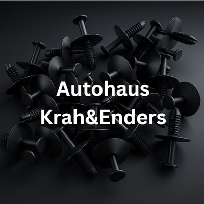 20x Original BMW Spreiznieten Befestigungsclips Clip Nieten MINI 51118174185 NEU
