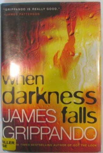 When Darkness Falls by James Grippando First Edition Ex-Library Book
