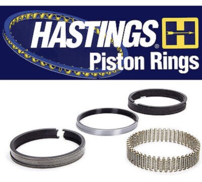 Hastings Piston Rings 4284 .020 Piston Ring For Select 88-95 Cadillac Models V8