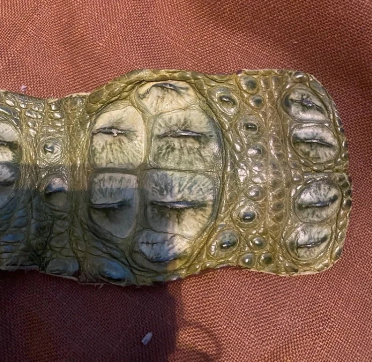 Cinturón de cocodrilo de diseñador verde salvia unisex raro vintage Foto 3 de 4