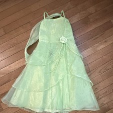 Lily Kid Girls Light Green Ball Gown Dress Size 4 Sleeveless Floral Tulle Flower