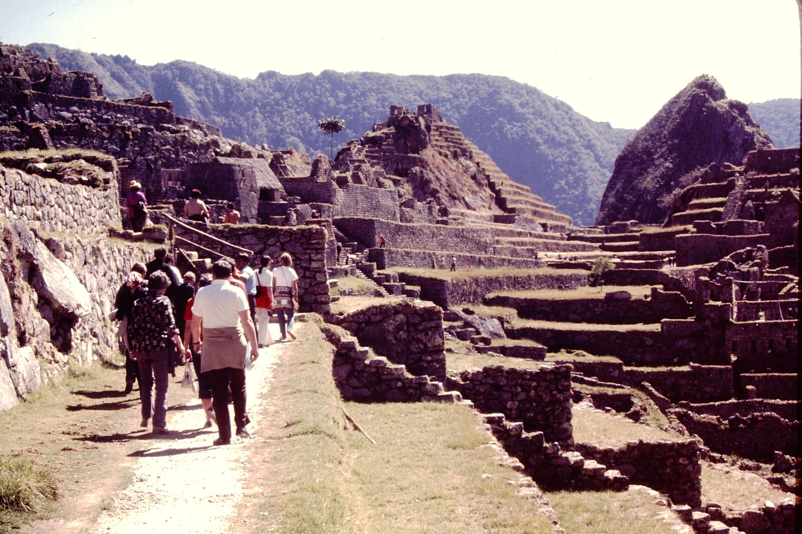 JULY 1973   Historic Sanctuary of Machu Picchu Ektachrome Slide Ref B124