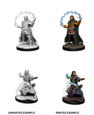 D&D Nolzur's Marvelous Unpainted Miniatures: W11 Male Human Wizard