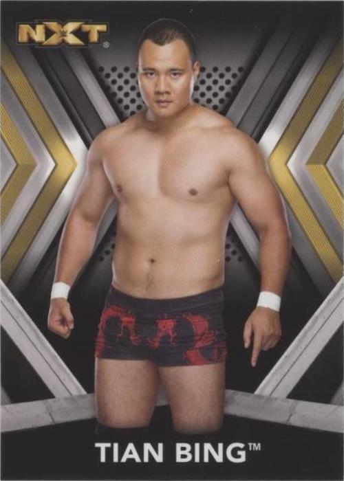 2017 Topps WWE NXT - Tian Bing #30 - 1 of 1