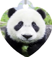 Panda Bear Up Close Double Sided Metal Heart Necklace Fashion Jewelry NEW CUTE 