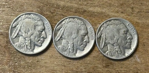 1936PDS Buffalo Nickels
