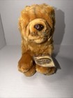 🐾 WEBKINZ SIGNATURE CHOW CHOW WKS1078.  NEW /UNUSED — photo 4