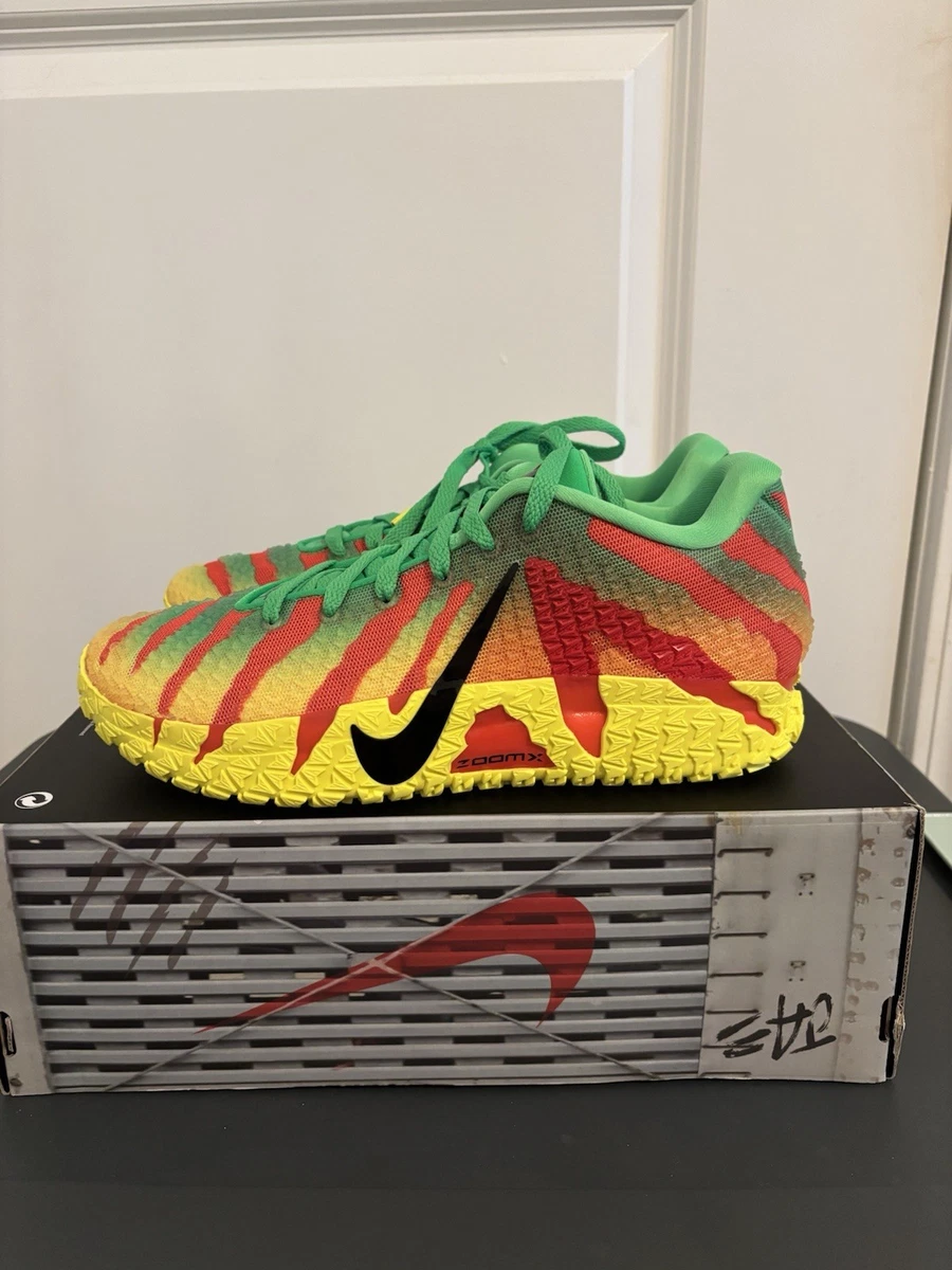 Jurassic Park x Nike Ja 3 Explorer for Sale | Authenticity