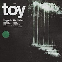 Toy - Happy In The Hollow - Vinyl Record - G1398Z