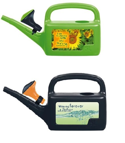 saatgut grndngung BIO Saatgut Grndngung Tagetes  Biogartenladen