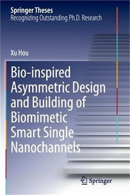Bio-Inspired Asymmetric Design and Building of Biomimetic Smart Single Nanochann