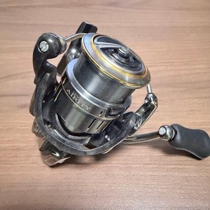 Daiwa Luvias Airity | eBay