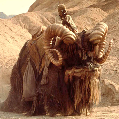1/6 Bantha Backdrop 15”x15”- Ideal For 1/6 Tusken Raider MMS