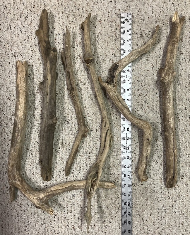 6 Pcs Driftwood 15-22" Long Lake Erie Freshwater Crafting Reptiles Terrarium (I)