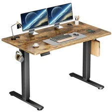 Edx Electric Standing Desk, Heigh Adjustable Desk, 48x24 Inches Ergonomic Office