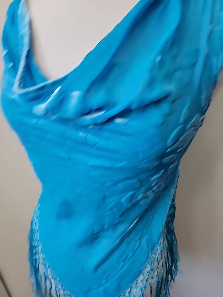 Burnt 天鹅绒丝绸背心中号蓝色条纹节日仙女嬉皮适合 XS 码 — 第 2/4 张图片