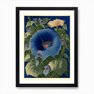 Morning Glory 2 Floral Botanical Vi Framed Wall Art Poster Canvas Print Picture