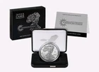 2025 Laser Engraved American Eagle One Ounce Silver Proof Coin