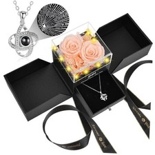 Preserved Real Rose with I Love You in 100 Languages Red Champagne