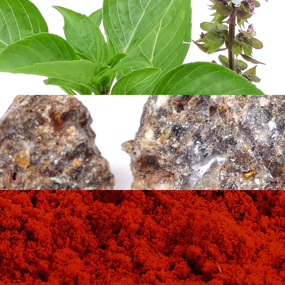 DAVIDOFF Agua Caliente Eau De Toilette - Ambery Colonia Hombre - con Notas de Albahaca, Foto 3 de 4