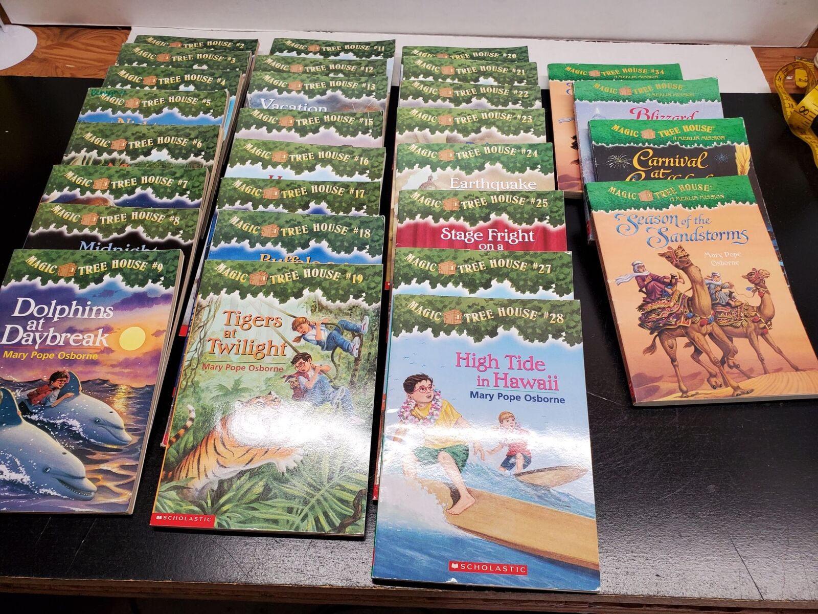 Magic Tree House Lot of 10 Children's Books #2,4,6,16,18,24,26,39,40 +  Guide