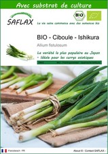 SAFLAX - BIO - Ciboule - Ishikura - 150 graines - Avec substrat - Allium