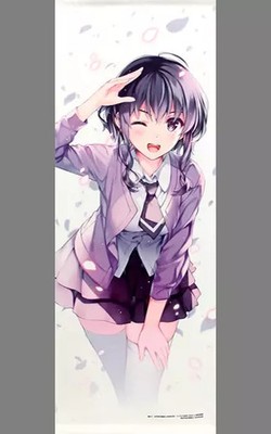 Tapestry Hyoudo Michiru Original B2 Half-Cut D: How To Raise A Boring Girlfriend