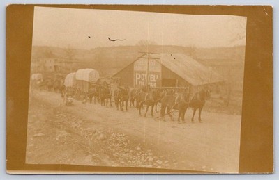 Antique Mountains Freight Team Horses Wagon  Powell Drug Barn Rppc