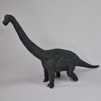 Brachiosaurus Procon 2006 CollectA Dinosaurier Figur 13x20 cm 