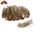 11 colors Dyed 5-10 cm / 2-4 inches optional 10-100PCS natural Pheasant Feathers
