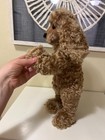 Signed Rosalie Frischmann poodle — photo 5