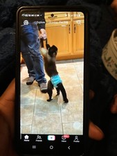 Samsung Galaxy A53 5G - 128 GB - Black Unlocked