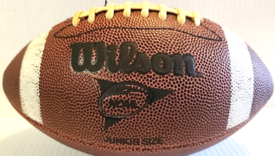 WILSON NCAA 1001 JUNIOR SIZE 10