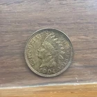 1904 RB Red Brown Indian Head Cent Uncirculated UNC Coin