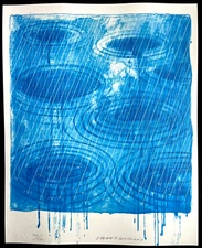 David Hockney Lithograph ' Rain ' Original Signed COA Pencil Numbered