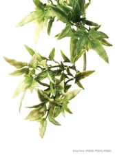 EXO TERRA JUNGLE PLANT - CROTON - SMALL