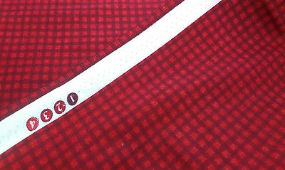 Neu-FQ-100% Baumwollstoff-Rodeo Roundup von Cheri Strole-Mini rot Karo Design-