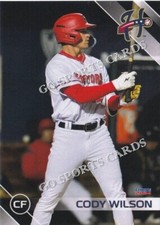 2024 Harrisburg Senators Cody Wilson RC Rookie Card Nationals Minor League