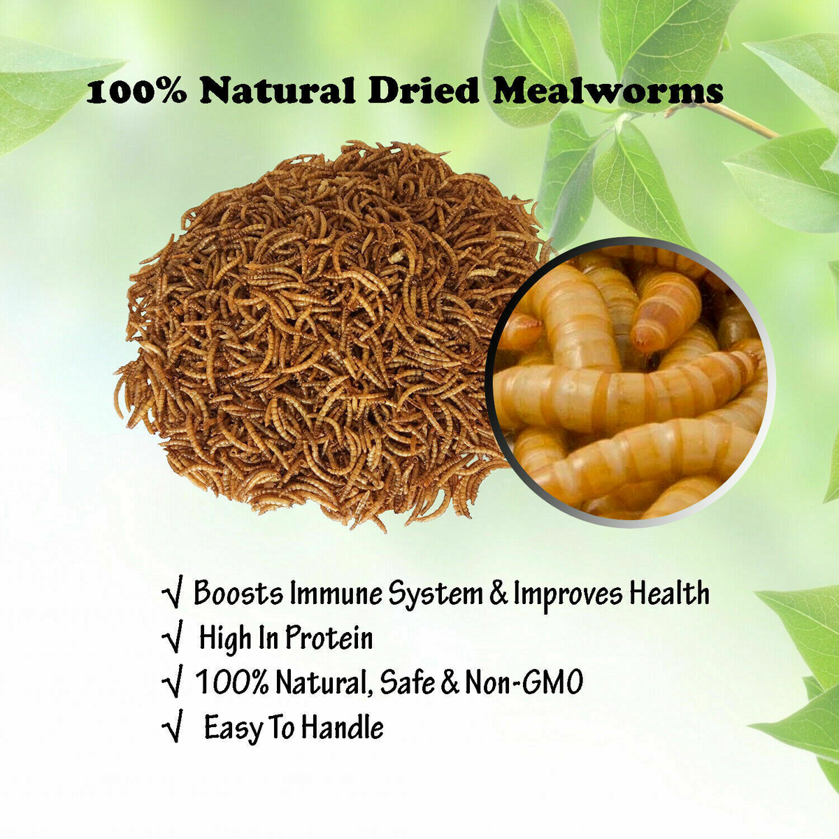 Dried Mealworms: Should Your Chickens Eat Them? - The Happy Chicken Coop