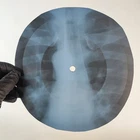 LED ZEPPELIN BATTLE OF EVERMORE X-Ray USSR Record Roentgen Bone Ribs Music Vinyl