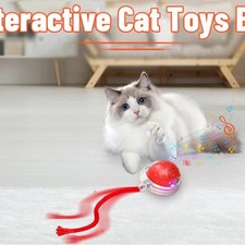 Engaging Playful Interactive Lightweight Fun Interactive Rolling Cat Teaser Ball