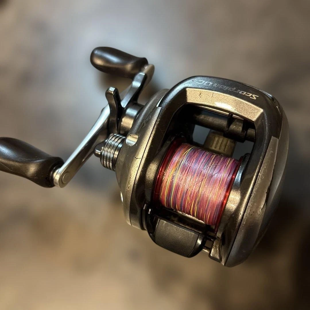 Shimano Scorpion DC Baitcasting Fishing Reels for sale | eBay
