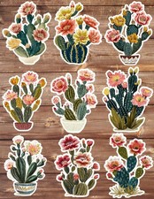 Flowering Cactus Vinyl Die Cut Stickers Set Scrapbooking Laptop Water Bottle