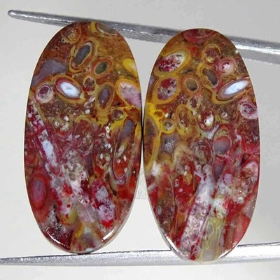30.30Cts Natural Red Palm Root Agate Oval Pair Cabochon Loose Gemstone 13x27x4mm